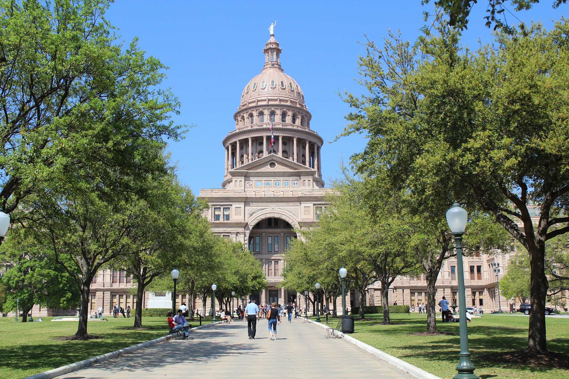 Texas Government Simple Book Publishing