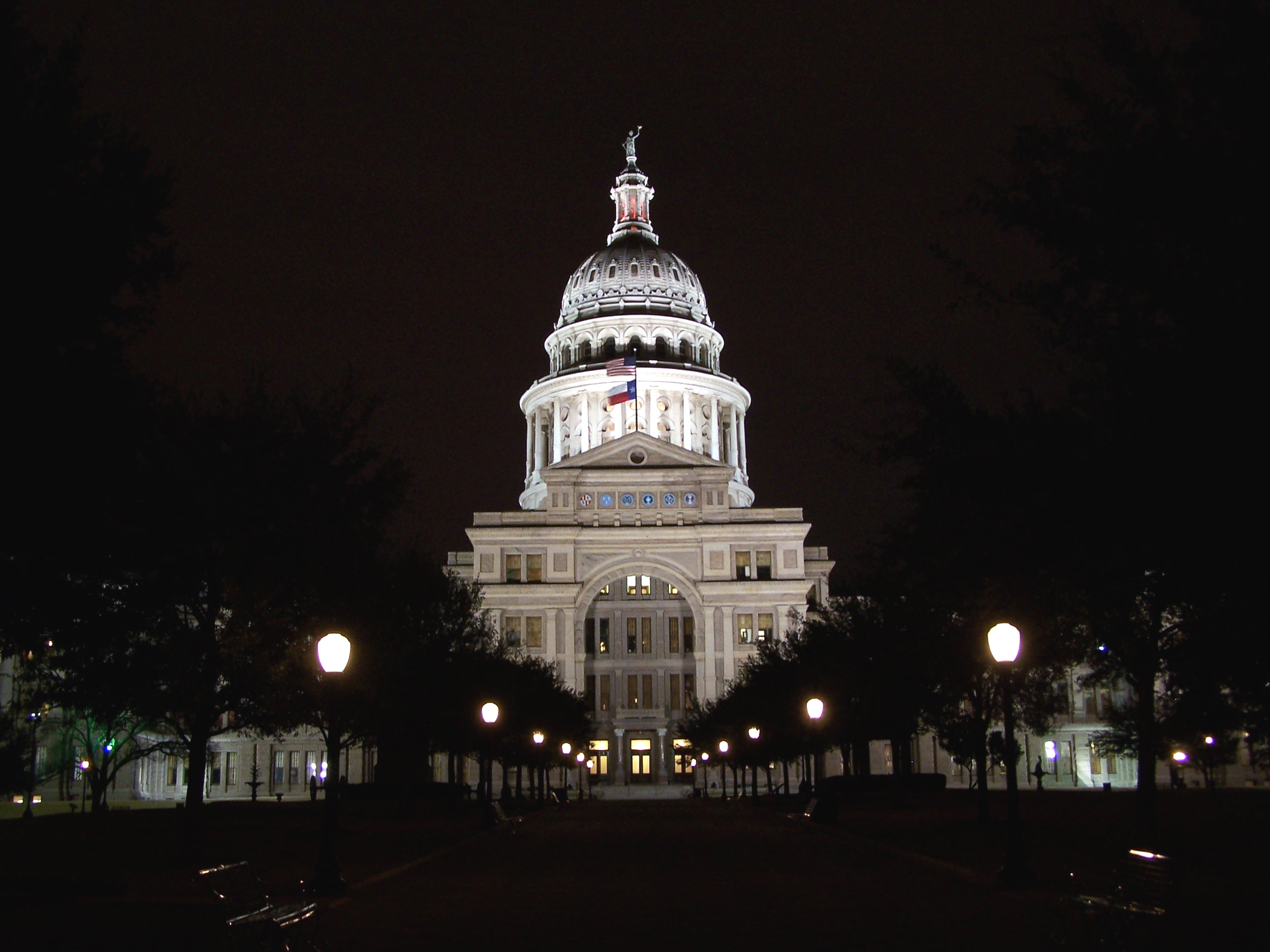 texas-government-1-0-simple-book-publishing