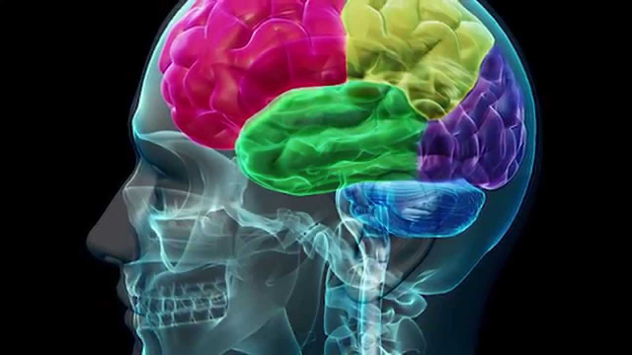 Psychology Psychology