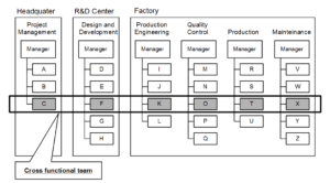 Infographic showing cross-functional teams: the team cuts across functions.