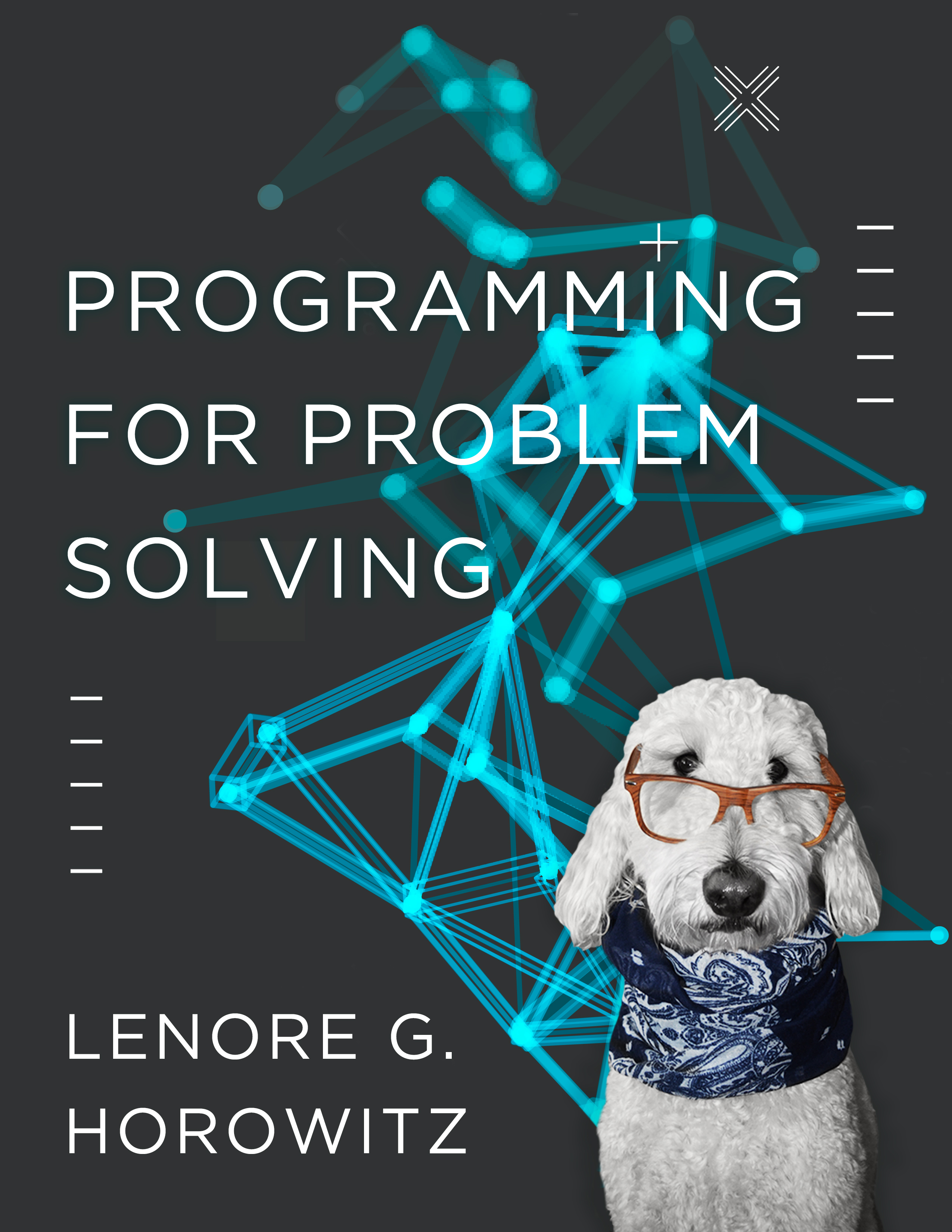problem solving and programming concepts book