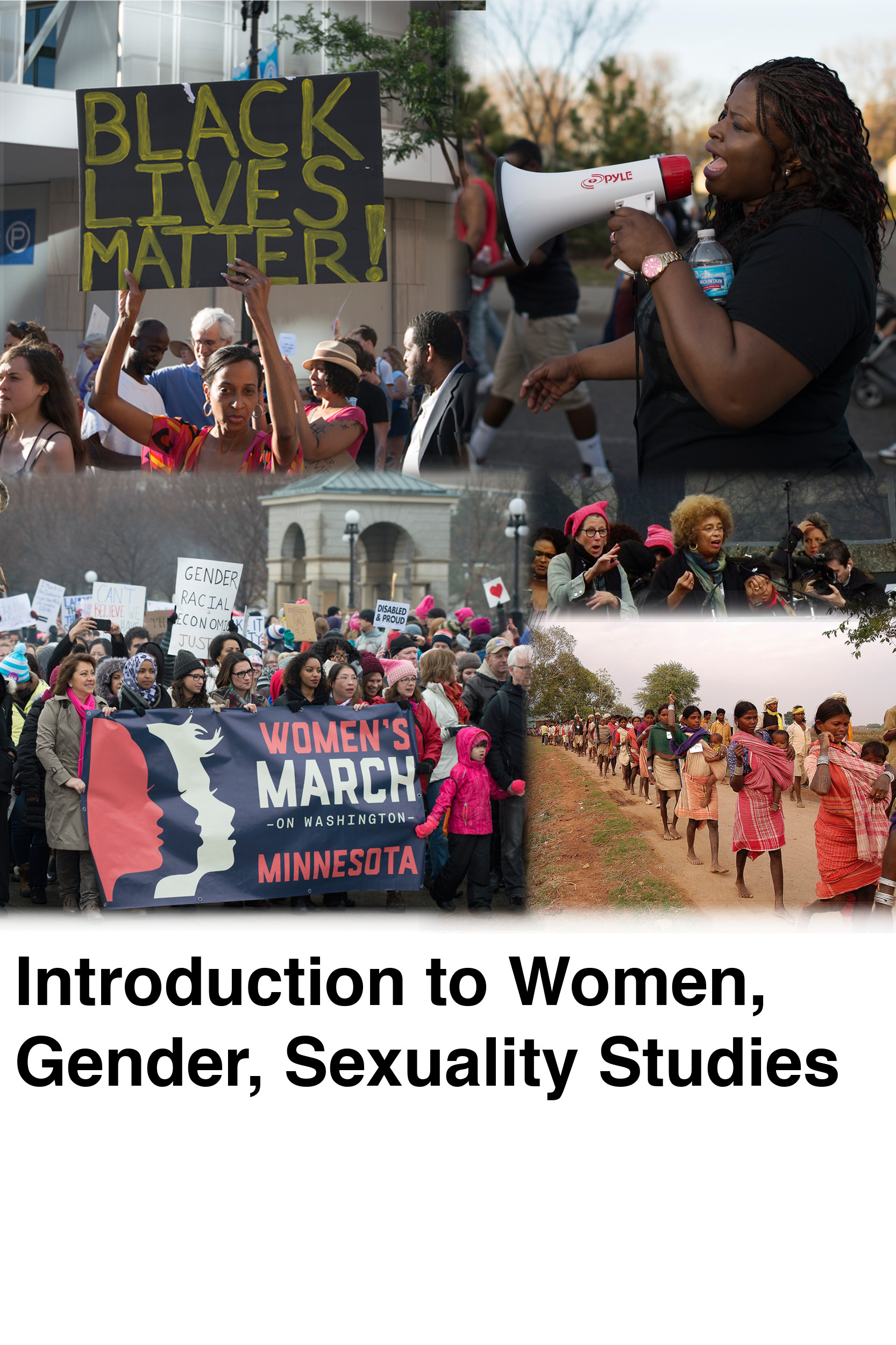 Introduction to Women Gender Sexuality Studies Simple Book Publishing
