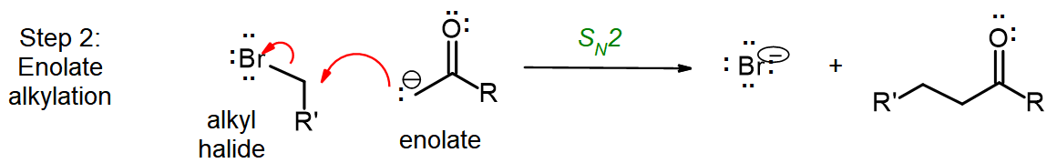Mechanism of the SN2 reaction of an enolate with an alkyl halide